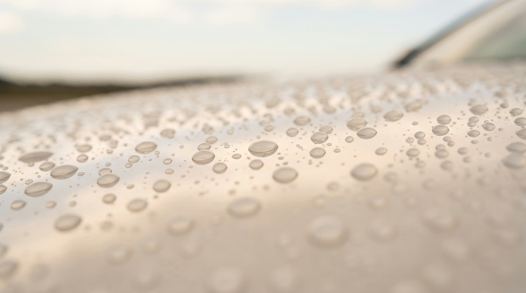 コーティング後のボディ。水滴が丸い玉になって光っている様子